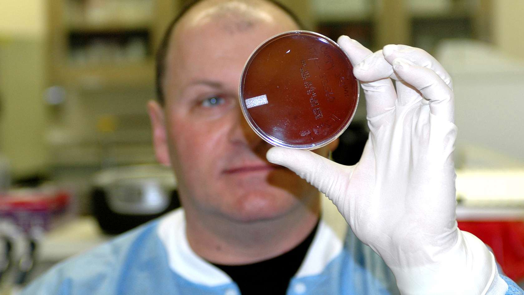 Air Force Histopathologist looking at petri dish