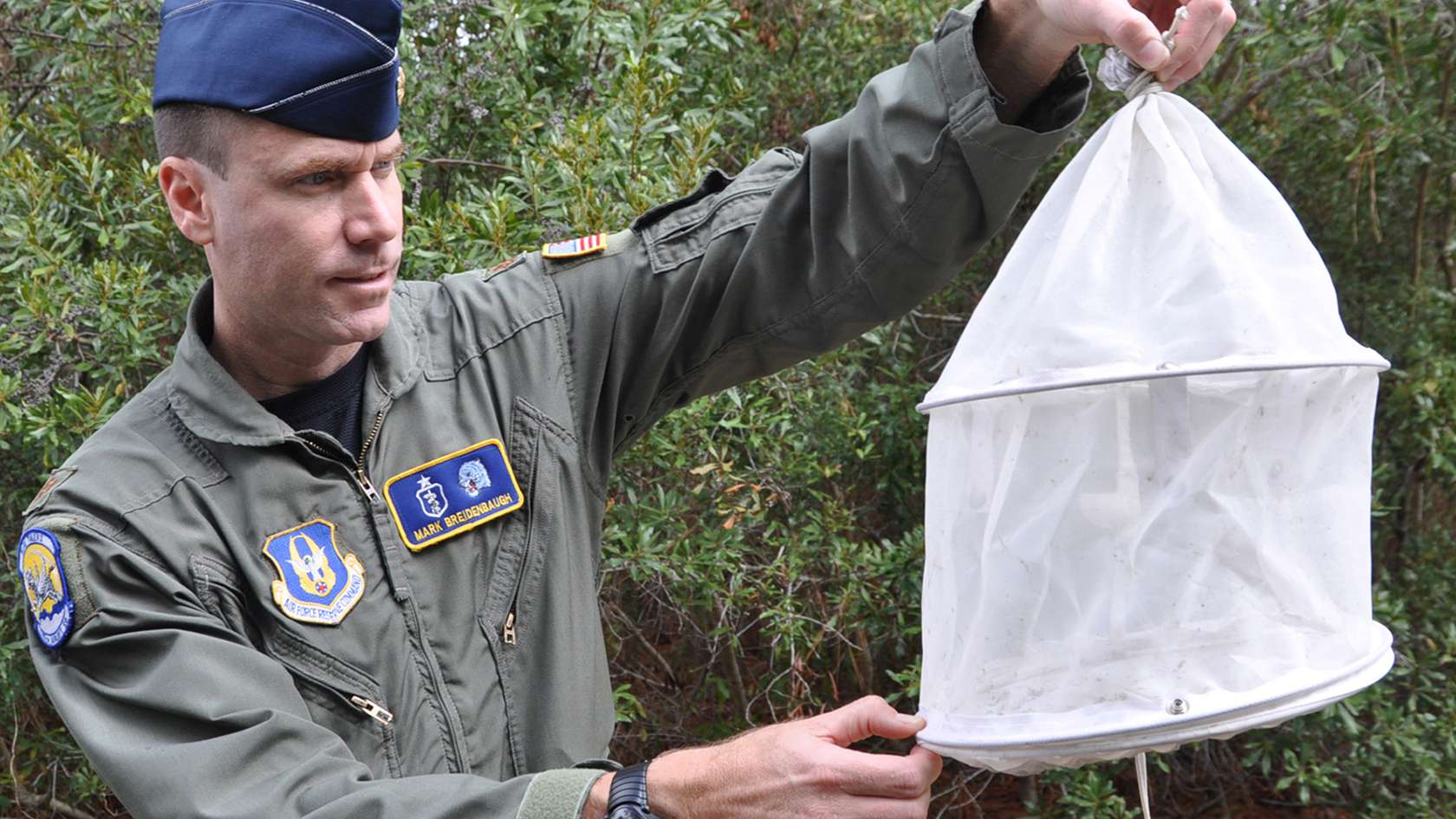 medical entomologist showing how to collect insects