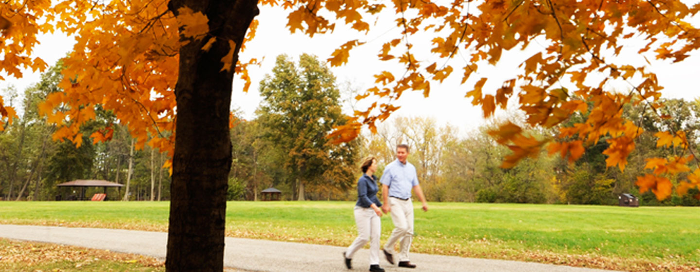 Couple walking amid fall foliage