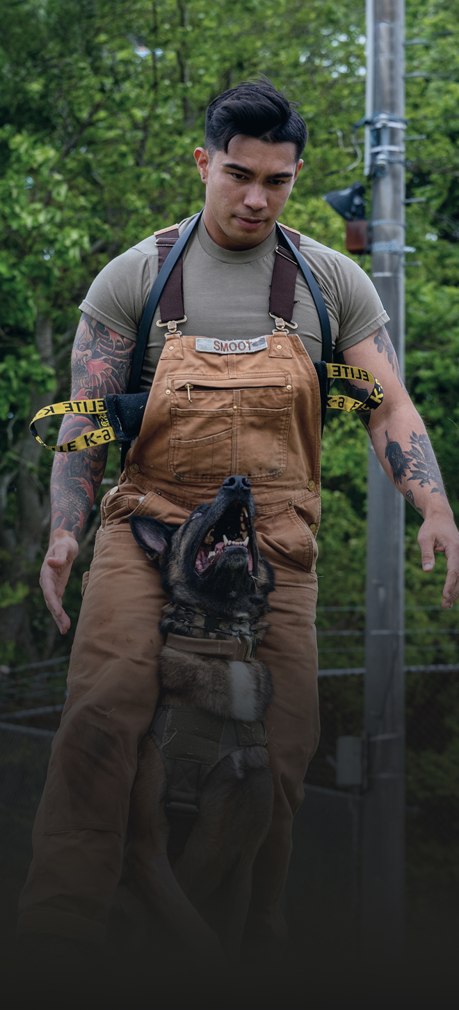 dog handler standing with dog