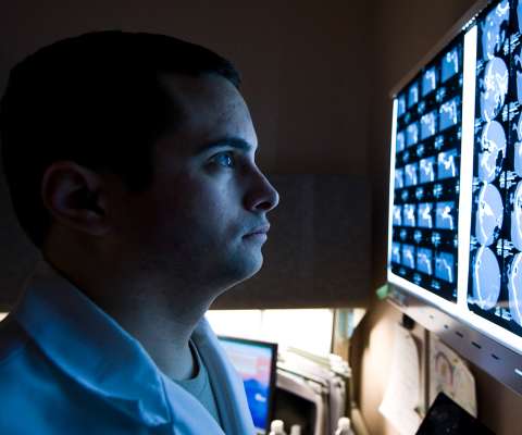 Neurologist analyzing brain scans